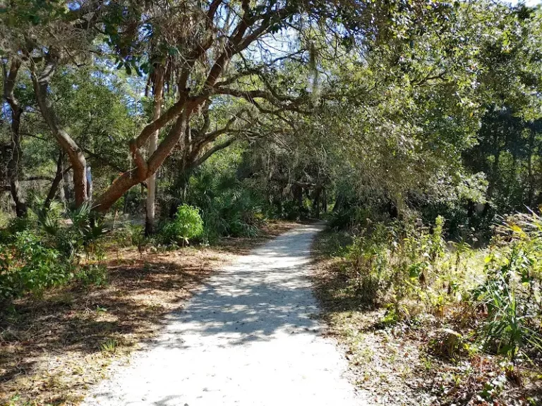Boyd Hill Nature Preserve from St Pete