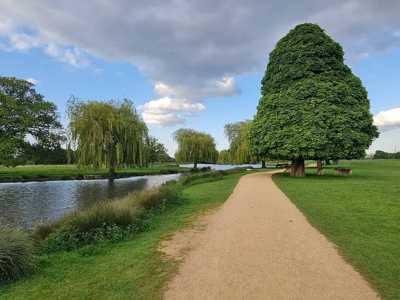 Bushy Park - Exploding Travel