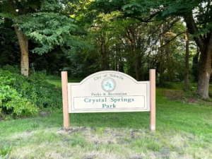 Crystal Springs Park from Seatac