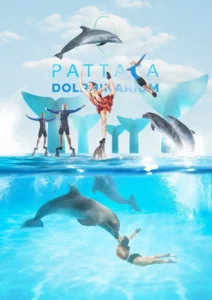 Dolphinarium Pattaya from Pattaya