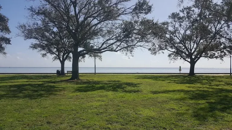 Flora Wylie Park from St Pete