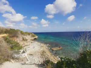 Karpata (9) from Bonaire