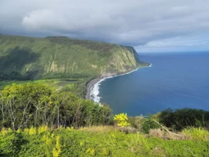 Kohala Forest Reserve from Hawi