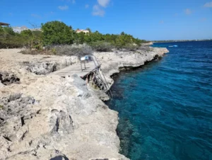 Oil Slick Leap (20) from Bonaire
