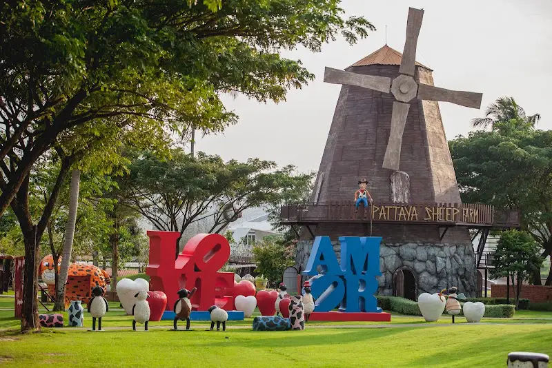 Pattaya Sheep Farm from Pattaya