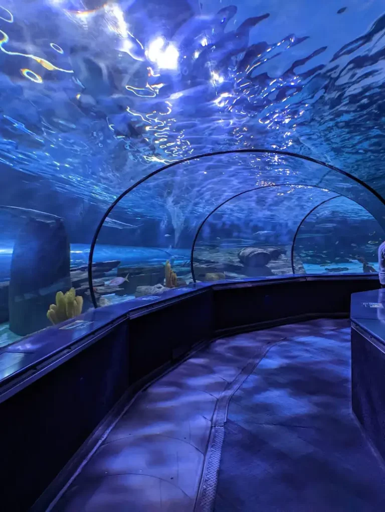 Ripley's Aquarium of Myrtle Beach from Myrtle Beach