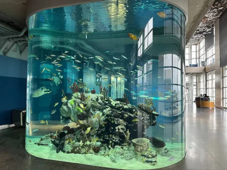 South Carolina Aquarium from James Island