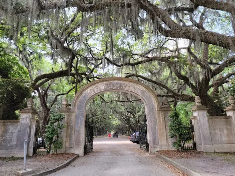 Wormsloe State Historic Site from Wilmington Island